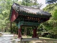 🇰🇷 천년고찰 보석사 산책