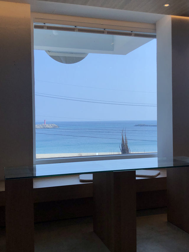 📍 울진 여행 추천 코스  등기산 스카이워크 → 울진대게빵 → 카페 파로