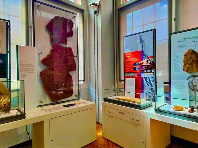 Lapworth Museum of Geology – A Journey Through Earth’s History
