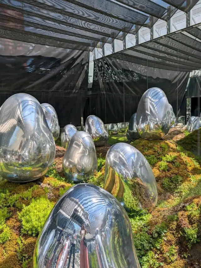 TeamLab Borderless / Planets (Tokyo)