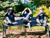 Solo Adventure in Kharkiv: Ukraine’s Vibrant Cultural Hub