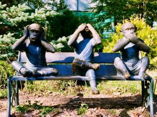Solo Adventure in Kharkiv: Ukraine’s Vibrant Cultural Hub