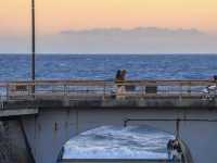 🗼 From Tokyo Buzz to Kamakura Calm: A Perfect Day in Japan 🇯🇵