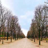 Best Relaxing Things to Do Near the Louvre: Tuileries Garden Guide