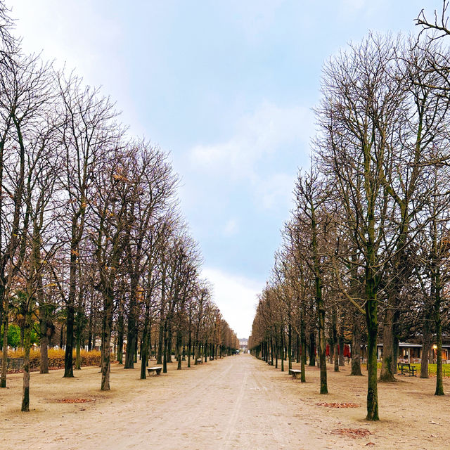 Best Relaxing Things to Do Near the Louvre: Tuileries Garden Guide Best Relaxing Things to Do Near the Louvre: Tuileries Garden Guide