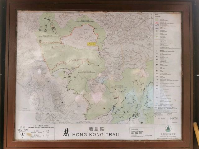 🍃 Peak Trail ที่อยู่บน Victoria Peak (The Peak)