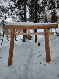 Togakushi Shrine at Nagano 🌲⛩️🏔️