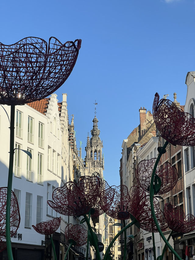 🇧🇪 比利時:布魯塞爾(Bruxelles) 🍫 🇧🇪 比利時:布魯塞爾(Bruxelles) 🍫