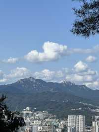 남산타워에서 국립극장, 반얀트리 호텔까지🌳