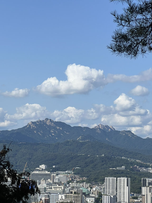 남산타워에서 국립극장, 반얀트리 호텔까지🌳