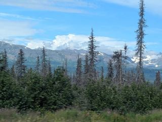 Denali National Park