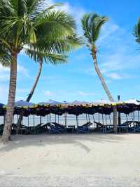 🌴✨ รีวิวทะเลบางแสน ✨🌴