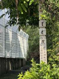 日本沖繩|八坂神社——木門斑駁、注連繩與紙垂隨風輕揚,素戔嗚尊的守護在樸實中安定人心