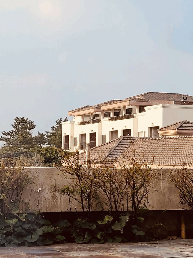 Architectural Charm and Unique Villas