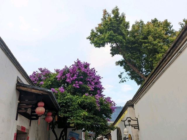 Wander Old Fuzhou🌙