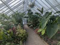 Dunedin Botanic Garden