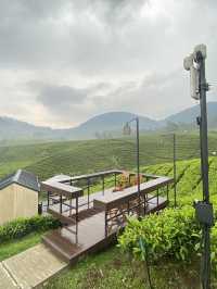HealingStaycation: Bobocabin Pangalengan