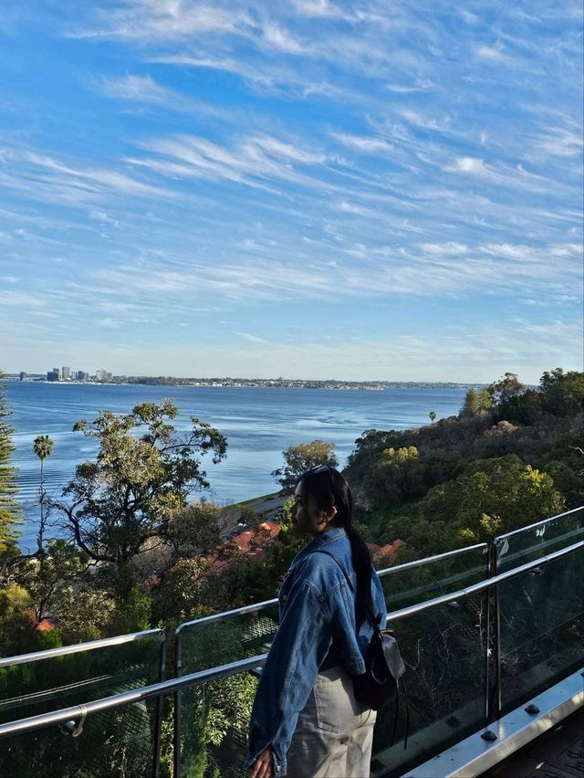 Sunset Vibes & City Views: Picnicking at Kings Park, Perth 🌅✨