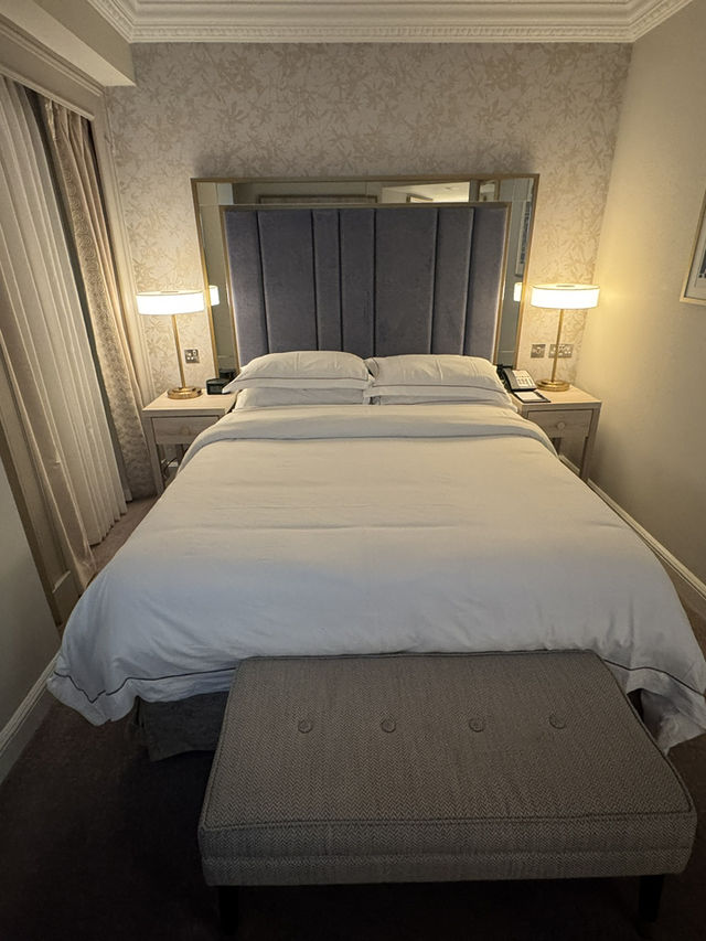 🏨 The College Green Hotel Dublin の魅力と周辺観光スポット３選