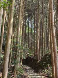 ✨熊野古道中邊路徒步之旅