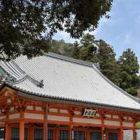 🎋✨ Katsuo-ji Temple – วัดดารุมะ (勝尾寺)