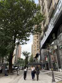 🌹 A City of Roses: Strolling Through Dushanbe