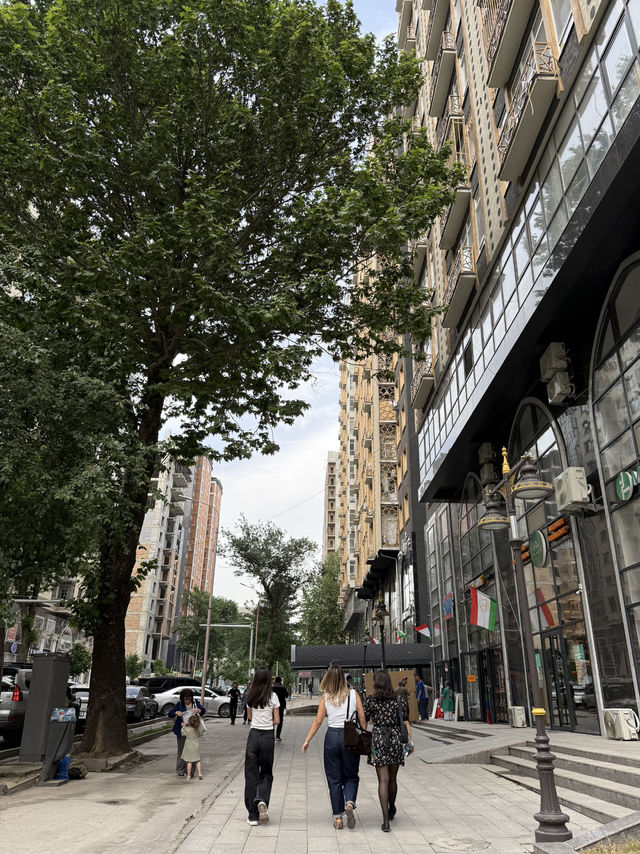 🌹 A City of Roses: Strolling Through Dushanbe