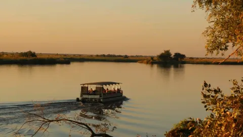 Get ready for safari magic! In this post, I’ll share my adve — traveler post in Kasane