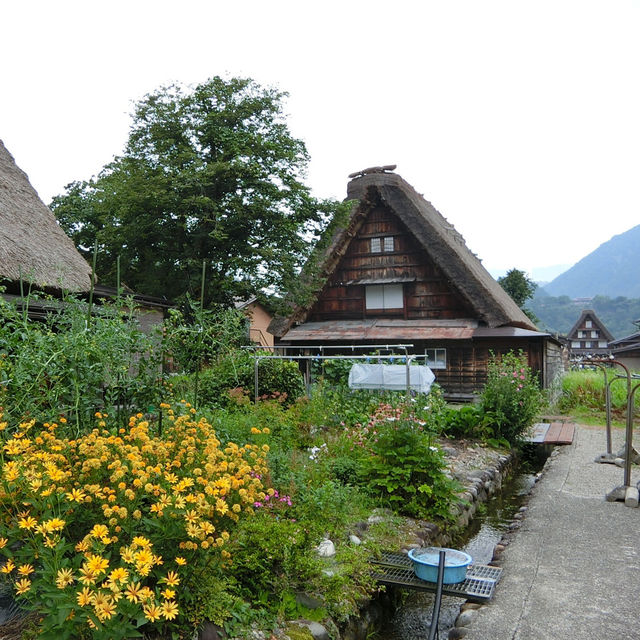 無人不曉的世界文化遺產一白川鄉合掌造