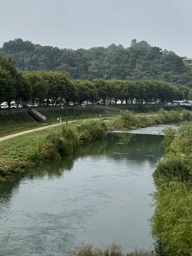 🪟 전주에서 만나는 고요하고 감성적인 하루 🌿