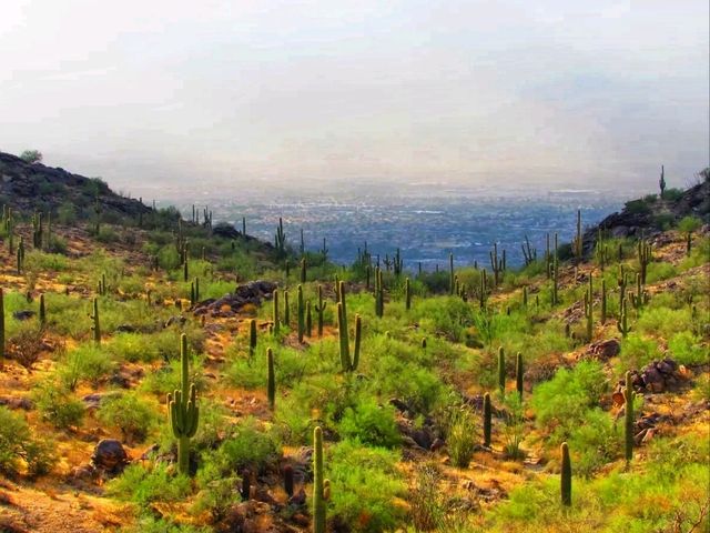 🌅 “South Mountain Park & Preserve – Where the Desert Meets the Sky!” 🌅 “South Mountain Park & Preserve – Where the Desert Meets the Sky!”
