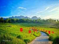 ✨🌿 Discover the Hidden Gem of Pù Luông, Vietnam! 🌿✨