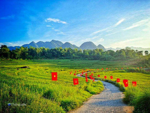 ✨🌿 Discover the Hidden Gem of Pù Luông, Vietnam! 🌿✨