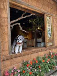 Lijiang Hidden Gem: Shuhe Ancient Town