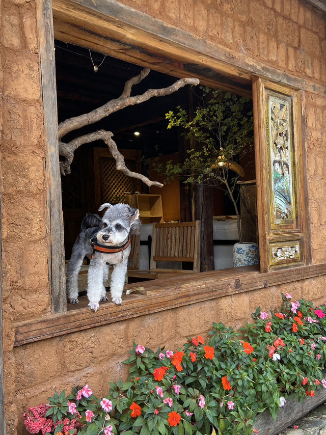 Lijiang Hidden Gem: Shuhe Ancient Town