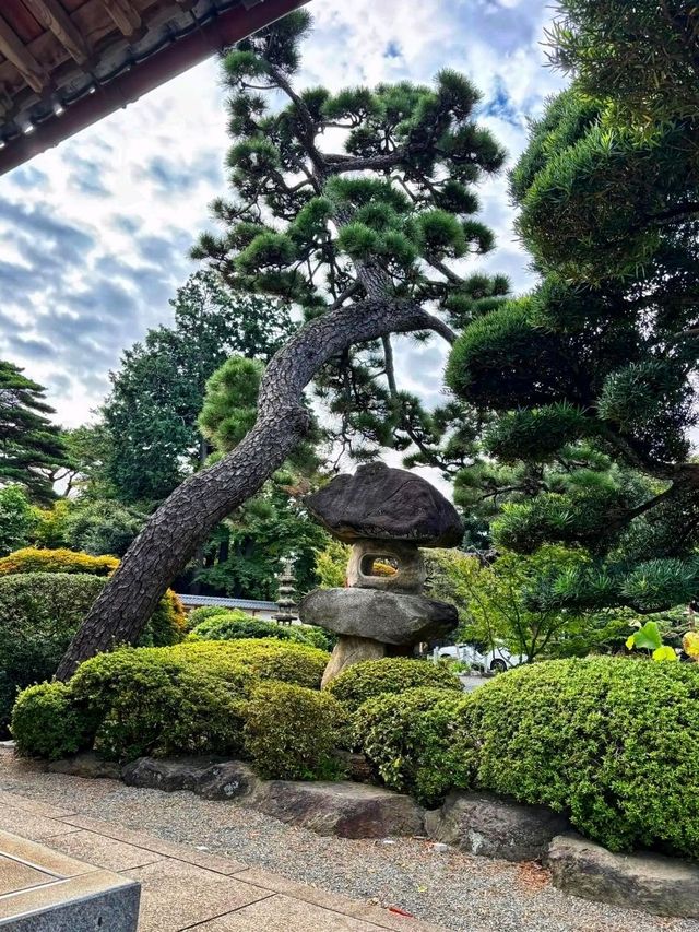 The Lucky Cat Temple – Discover Gōtokuji, Tokyo