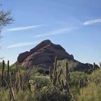 Desert Botanical Garden