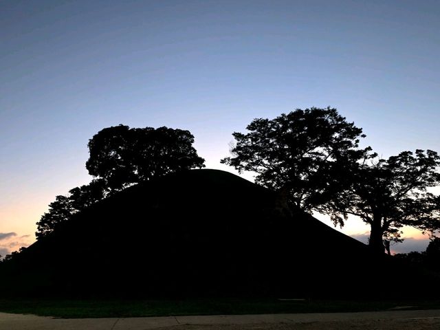 천년 고도, 경주의 밤 산책🌛