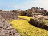 A Peaceful and Accessible Stroll