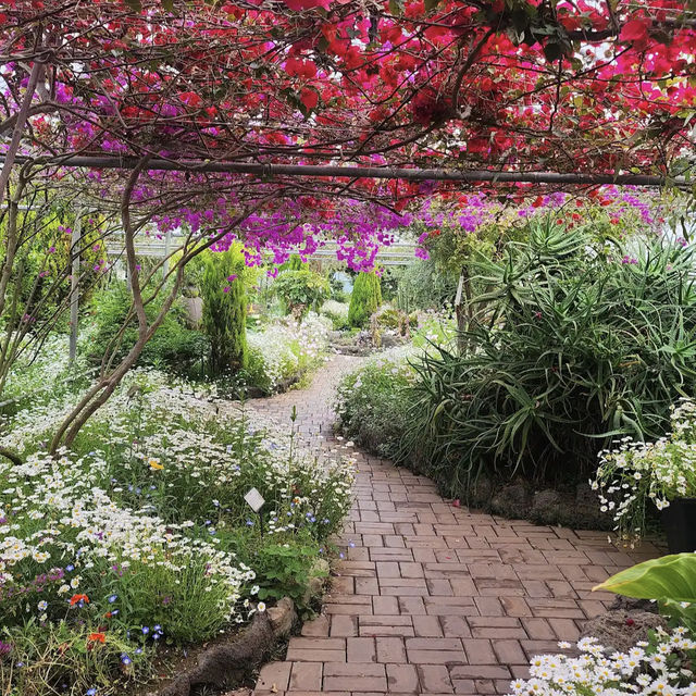 Jeju herb garden