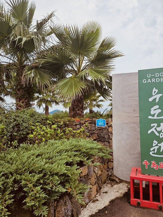 Perfect Stop on the Udo Coastal Loop