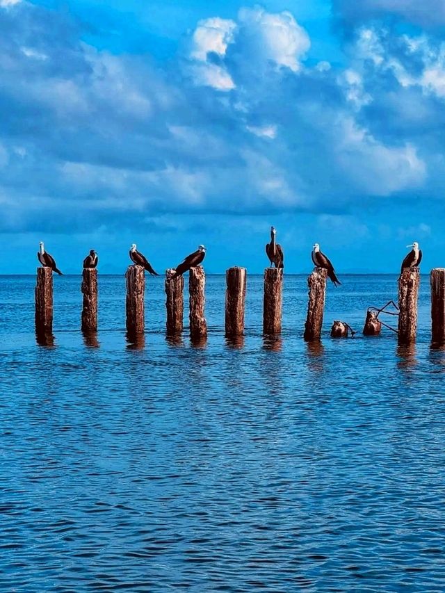 π΄π Laughing Bird Caye National Park β Jewel of the Caribbean π΄π Laughing Bird Caye National Park β Jewel of the Caribbean