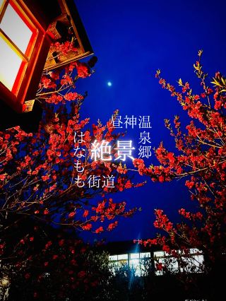 ถ้าอยากชมดอกพีช อย่าลืมแวะมาชมนะคะ! เมืองนี้ประดับประดาไปด้วยดอกพีช ✨ ช่วงเวลาที่ดีที่สุดในการชมสวรรค์ของนากาโนคือตอนนี้ค่ะ 🌸🌸🌸