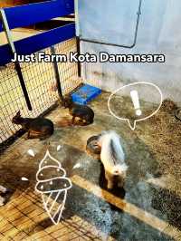 A Whimsical Farm Escape at Just Farm, Kota Damansara