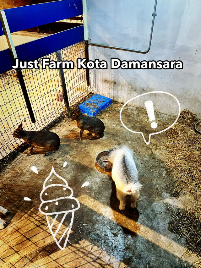 A Whimsical Farm Escape at Just Farm, Kota Damansara A Whimsical Farm Escape at Just Farm, Kota Damansara