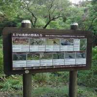 Ebino Plateau – A Scenic Volcanic High Plain in Kirishima