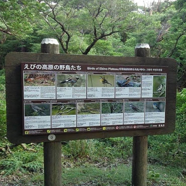 Ebino Plateau – A Scenic Volcanic High Plain in Kirishima Ebino Plateau – A Scenic Volcanic High Plain in Kirishima