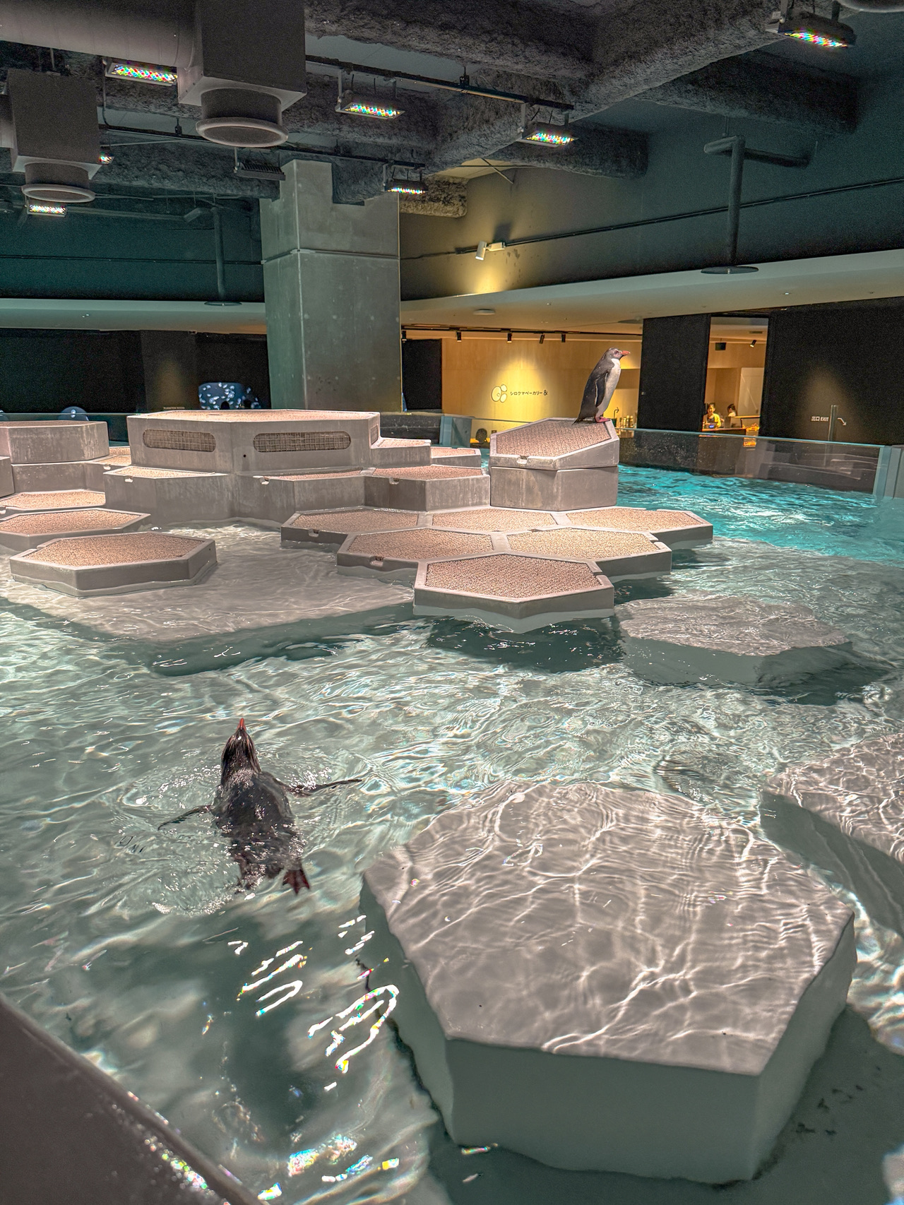 A must-visit guide for traveling to Sapporo with a baby