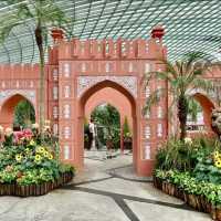 Blooming Beauty in the Flower Dome 🌸