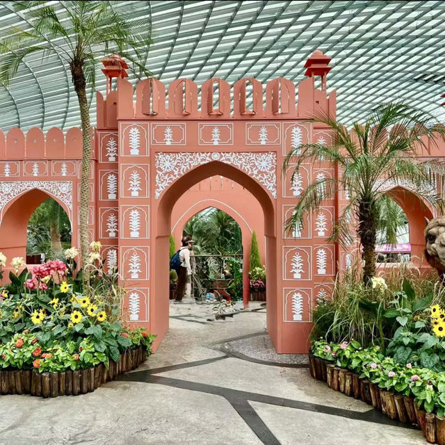 Blooming Beauty in the Flower Dome 🌸